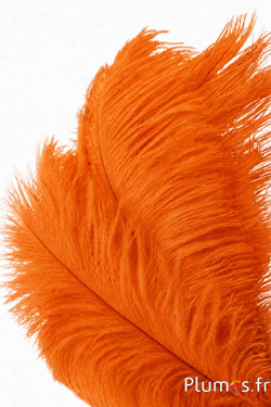 Strauss - 30-40 cm - orange